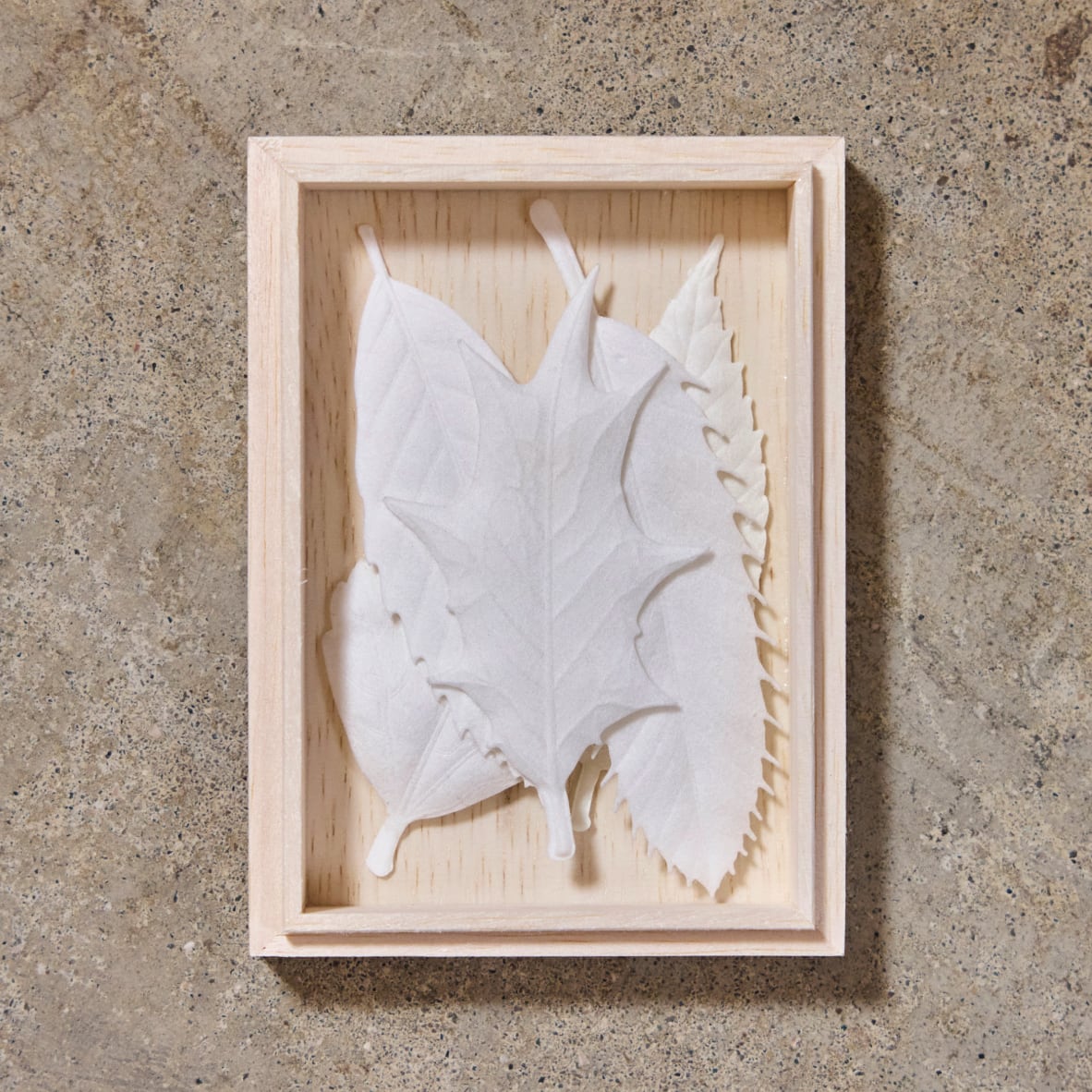 White Series Collection · Daylight Healing Leaves - HEJI Rituals | Luxury Healing Space