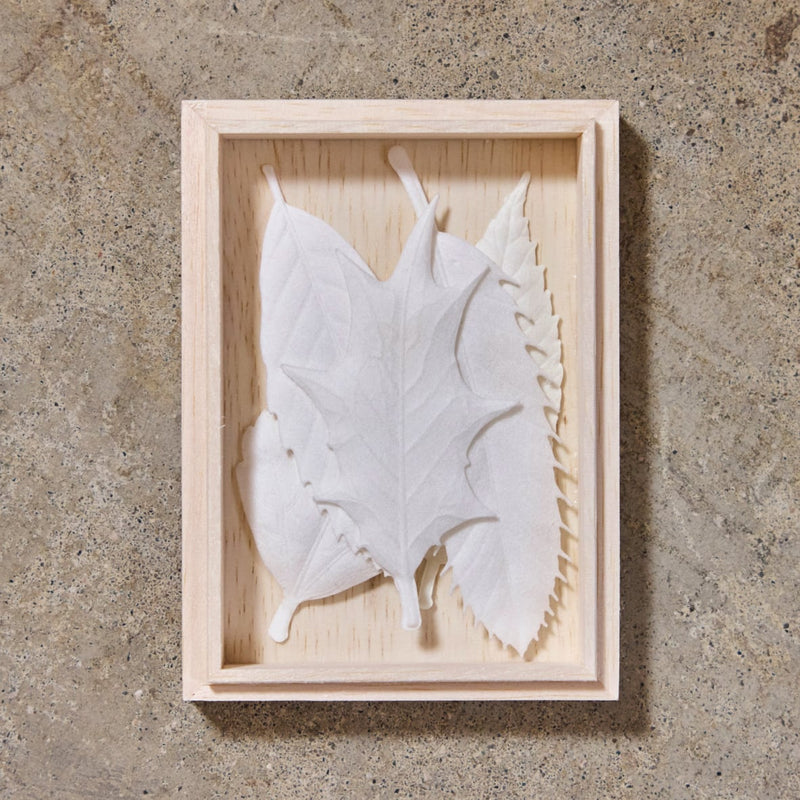 White Series Collection · Daylight Healing Leaves - HEJI Rituals | Luxury Healing Space