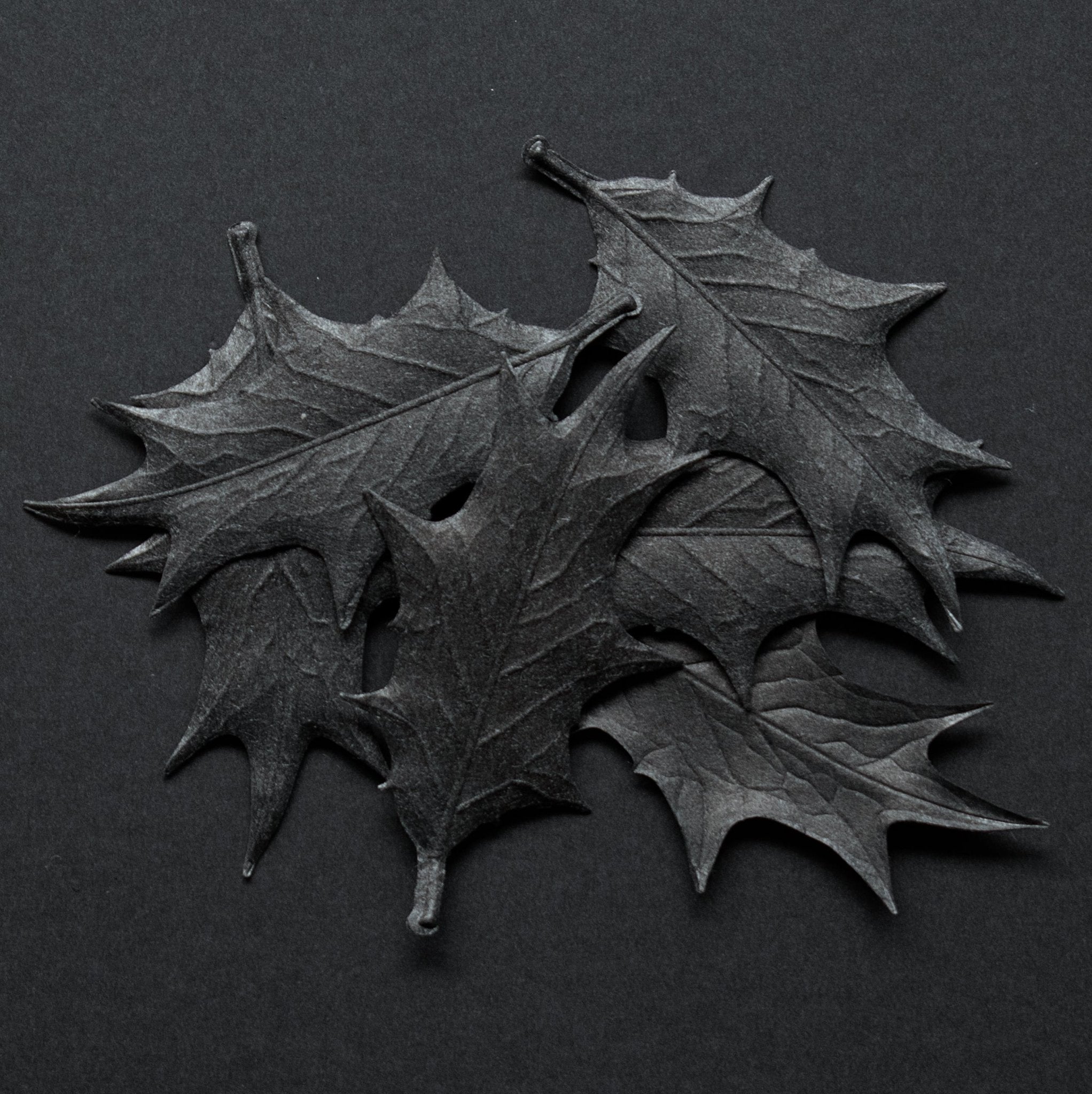 Leaf - incense - Awaken - HEJI Rituals | Luxury Healing Space