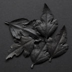 Leaf - incense - Dive - HEJI Rituals | Luxury Healing Space