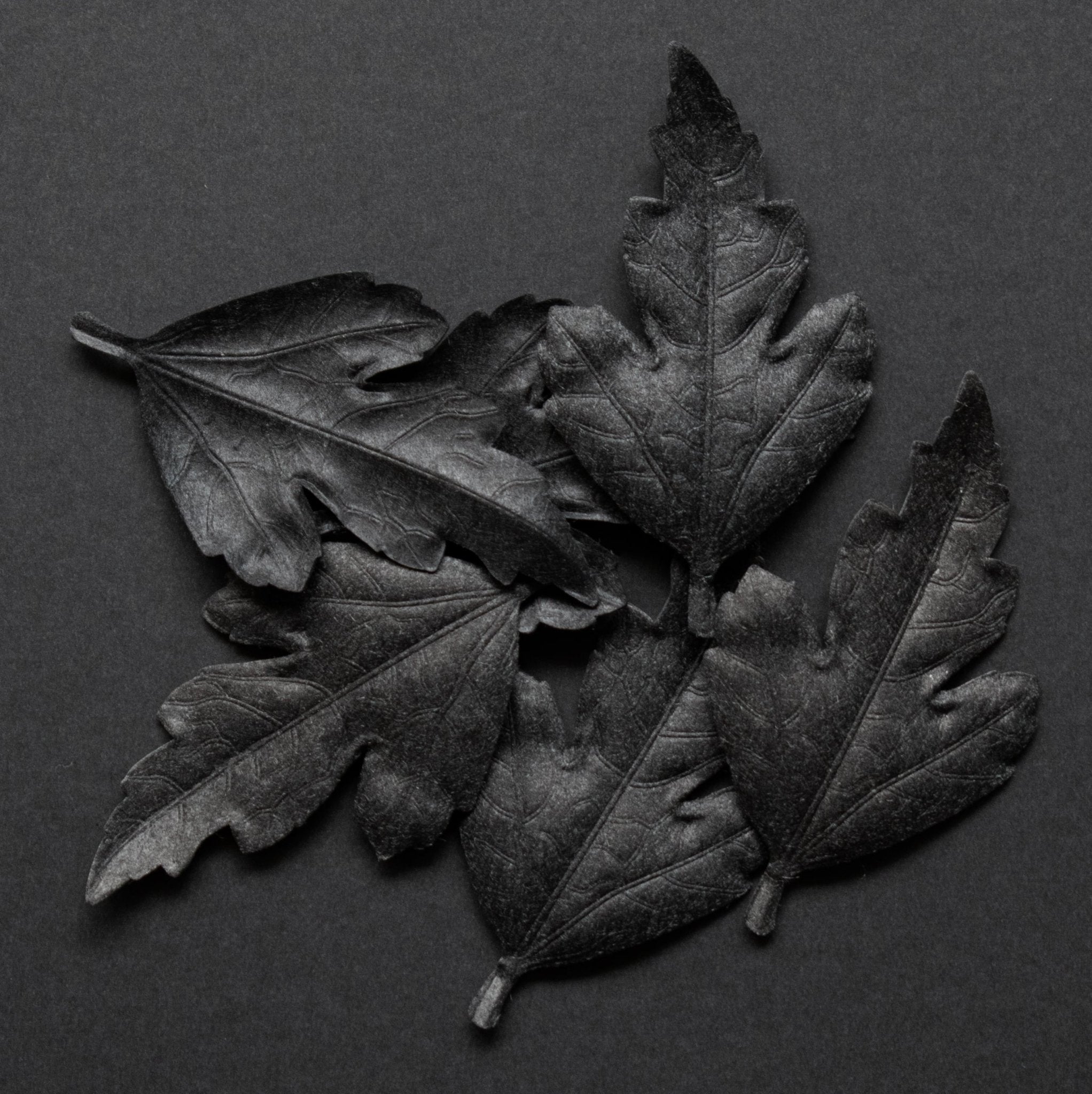 Leaf - incense - Dive - HEJI Rituals | Luxury Healing Space