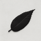 Leaf - incense - focus - leaf - incense