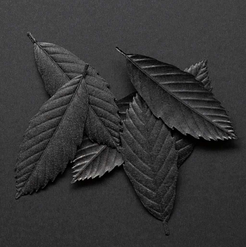 Leaf - incense - focus - HEJI Rituals | Luxury Healing Space