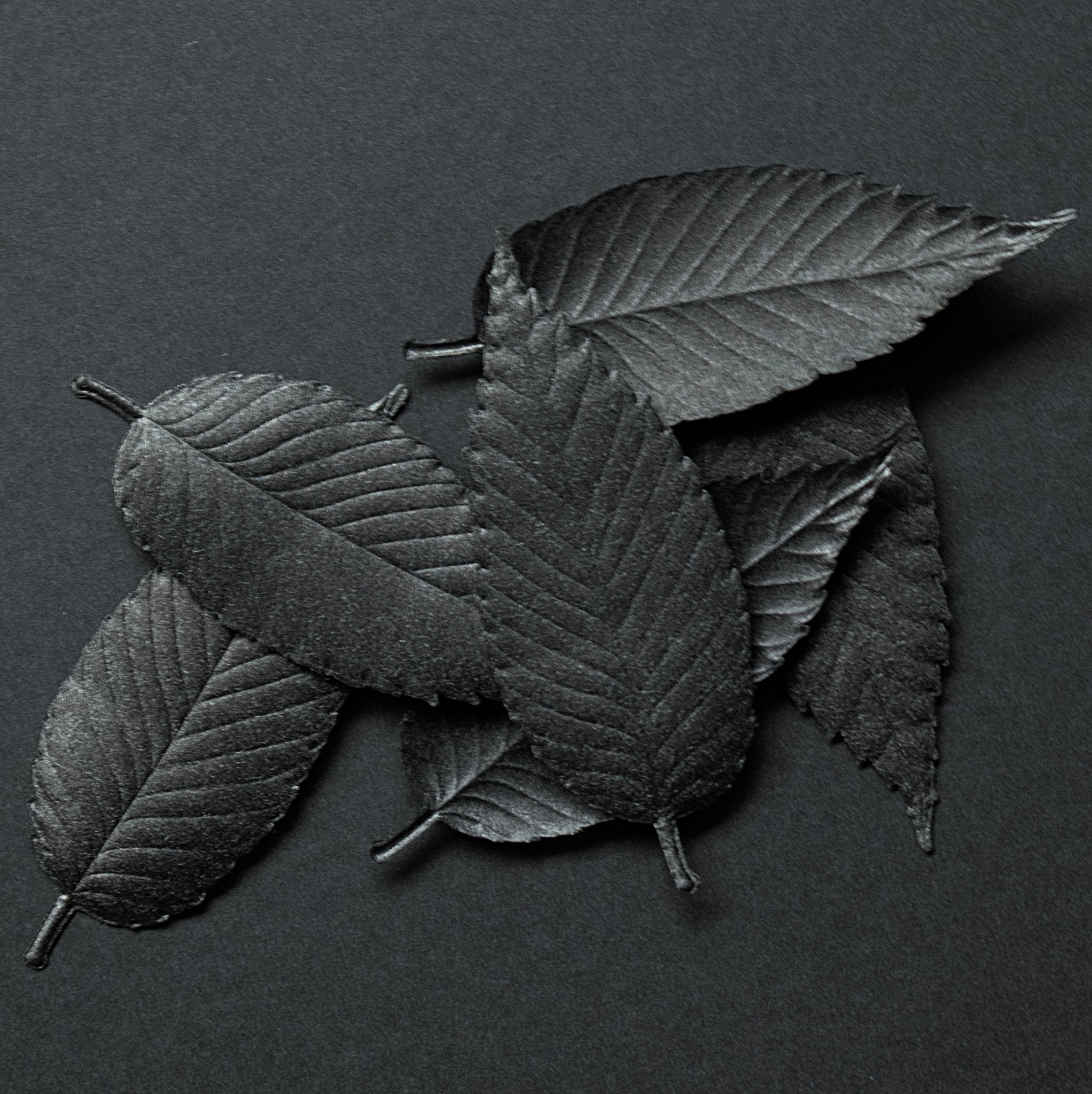 Leaf - incense - relax - HEJI Rituals | Luxury Healing Space