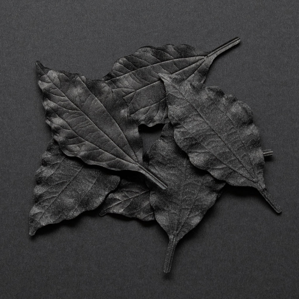 Leaf - incense - sleep - HEJI Rituals | Luxury Healing Space