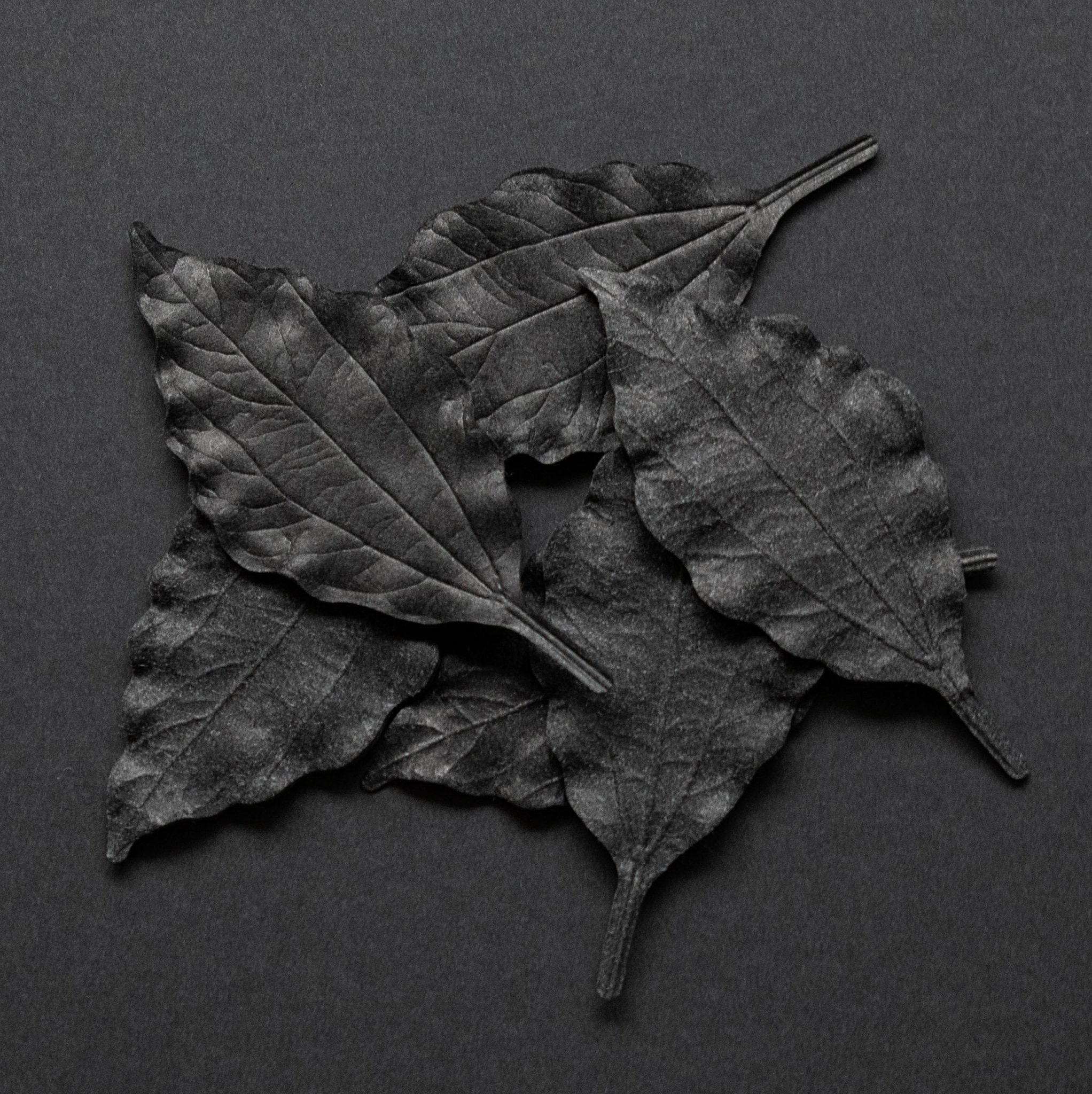 Leaf - incense - sleep - HEJI Rituals | Luxury Healing Space